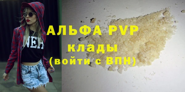ГАЛЛЮЦИНОГЕННЫЕ ГРИБЫ Бородино
