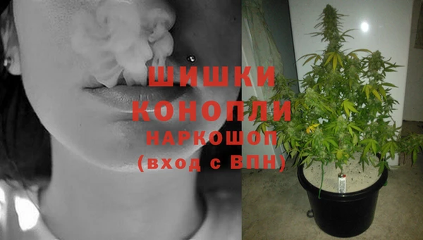 винт Белокуриха