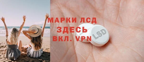 ГАЛЛЮЦИНОГЕННЫЕ ГРИБЫ Бородино