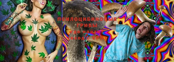 ГАЛЛЮЦИНОГЕННЫЕ ГРИБЫ Бородино