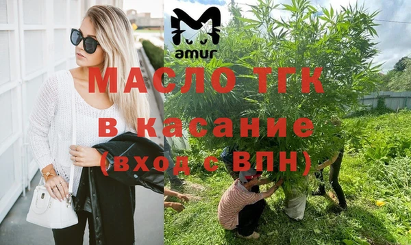 ГАЛЛЮЦИНОГЕННЫЕ ГРИБЫ Бородино