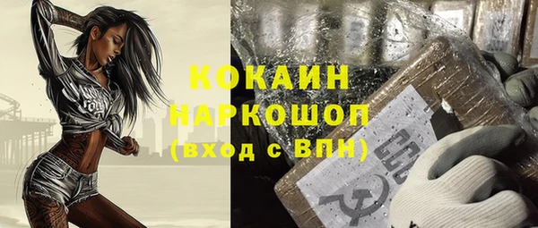 ГАЛЛЮЦИНОГЕННЫЕ ГРИБЫ Бородино