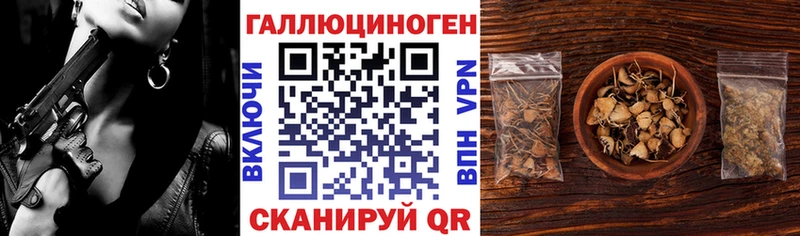 Псилоцибиновые грибы ЛСД  Курильск 
